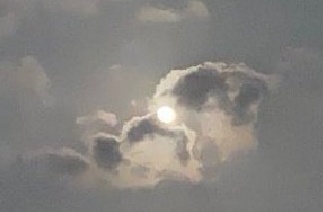 तन्हा चाँद's image