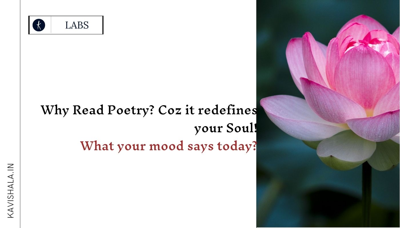Why Read Poetry? Coz it redefines your Soul!'s image