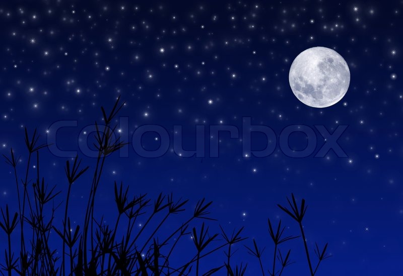 चाँदनी रात's image