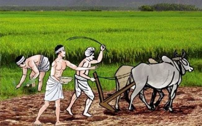 किसान's image