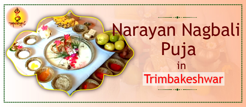 Narayan Nagbali Pooja | Trimbakeshwar Jyotirlinga Temple's image